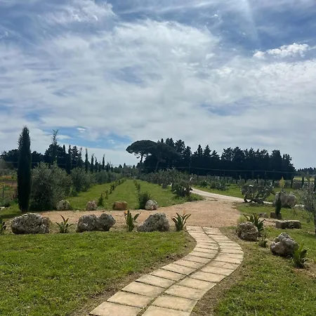 Eirene House - A Due Passi Da *